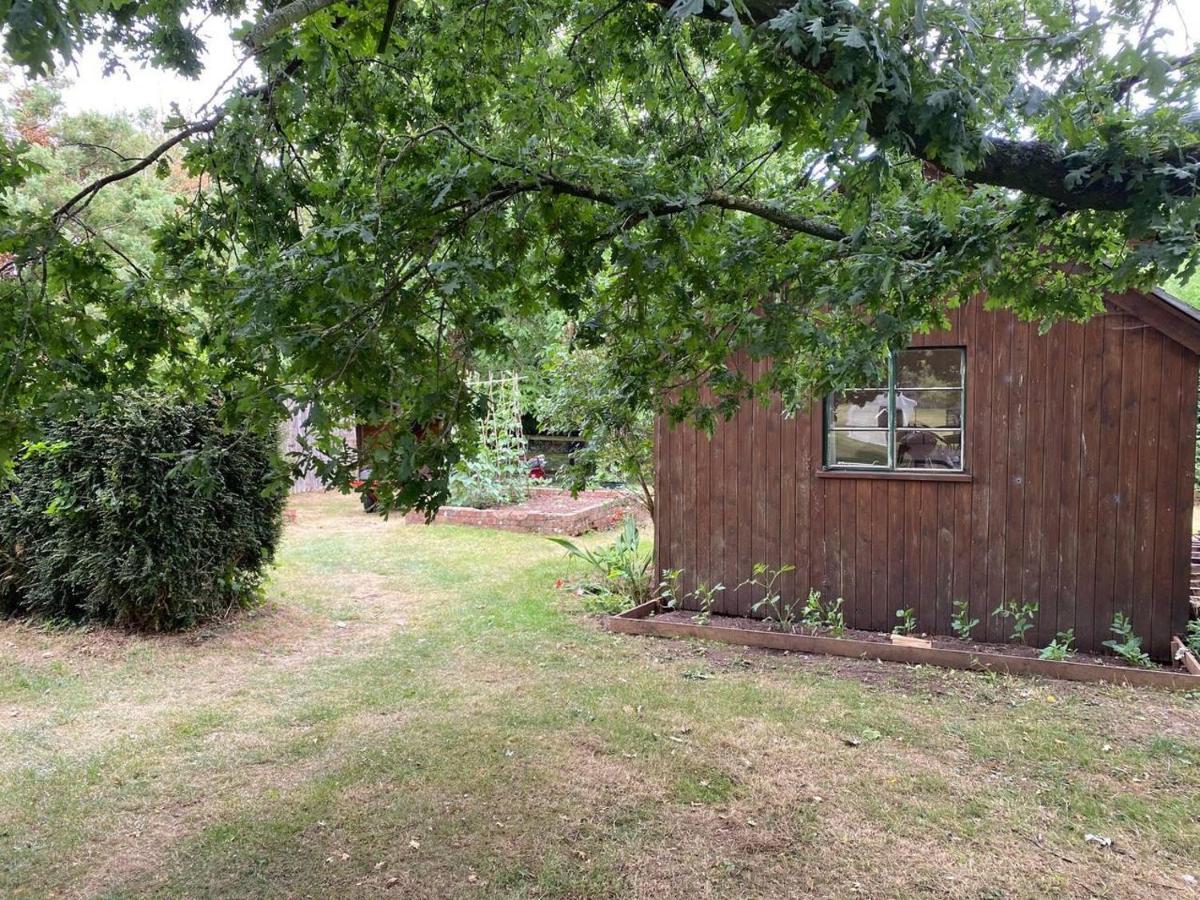 Orchard Cabin Herefordshire Wye Valley Ross-on-Wye Ngoại thất bức ảnh